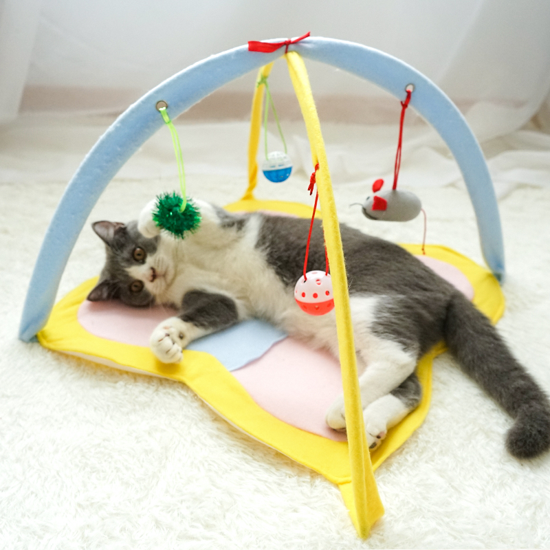 Furry Cat Playing with Funny Cat Stick Toy Set