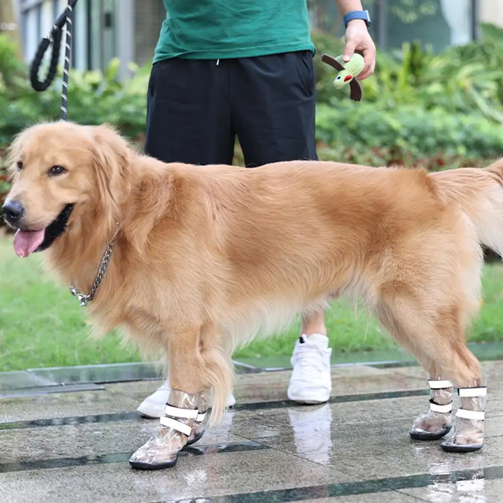 Waterproof Shoes For Pets Splash Proof Large