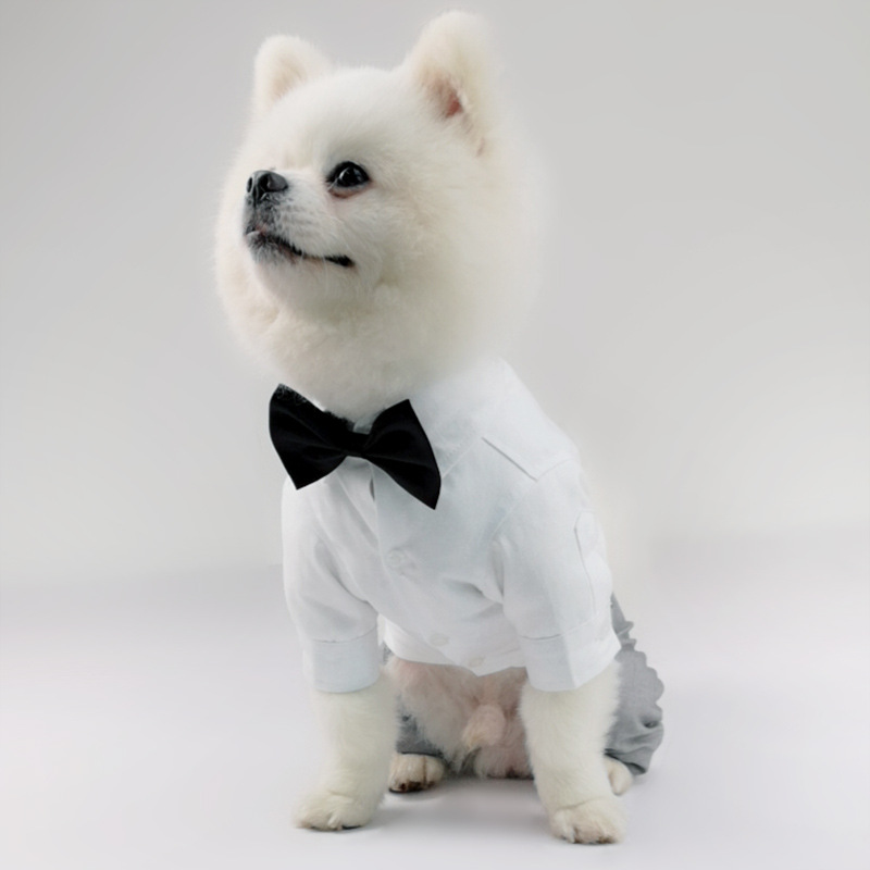 New Style Pet Shirt Trousers Suit Four Legged Clothes