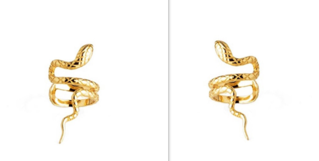 Cold wind snake ear clip