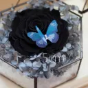 Blue05
