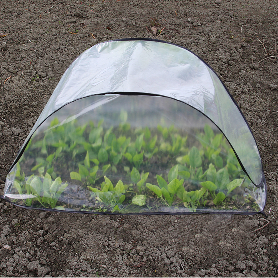 Pop-Up Mini Greenhouse Cover, picture 2 of 4