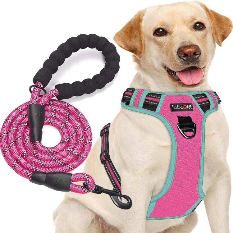 No Pull Dog Harness Adjustable Reflective Oxford Easy Control Medium Large Dog Harness With A Free Heavy Duty 5ft Dog Leash, Blue, M