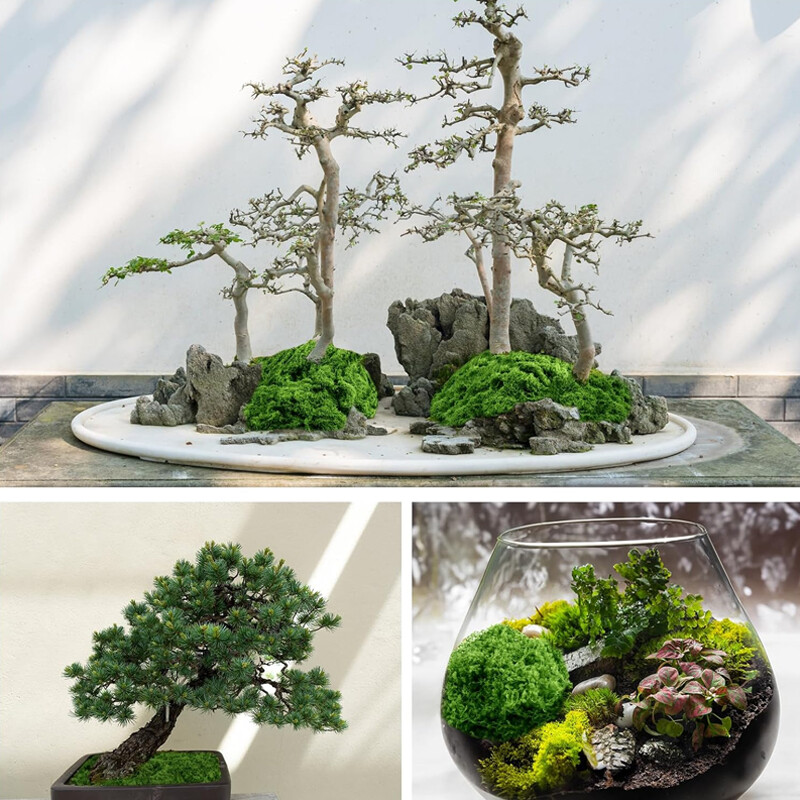 Artificial Green Moss Micro Landscape Fake Garden Crafts Home Decor — image 3