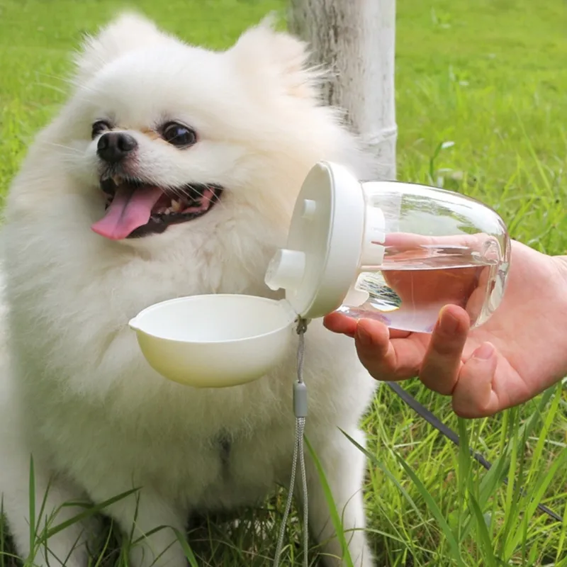 Portable Dog Water Bottle Go Out Walking