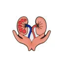 Zq Kidney