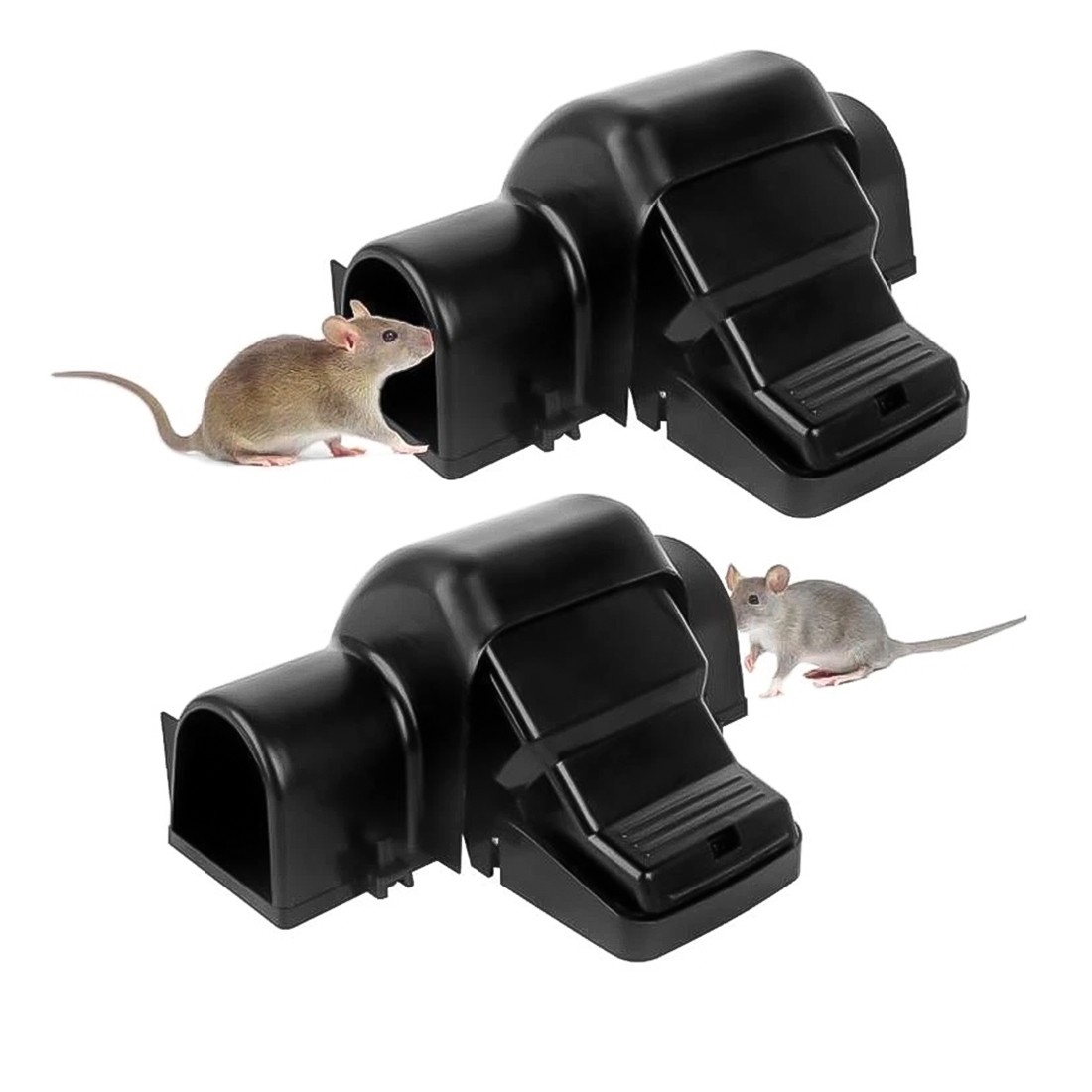 Rat Trampas para exterminar ratas en exteriores e interiores