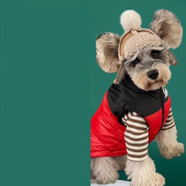 Dog Clothes Thick Warm Down Vest Autumn And Winter Clothes Red - Shop at LoveMi
