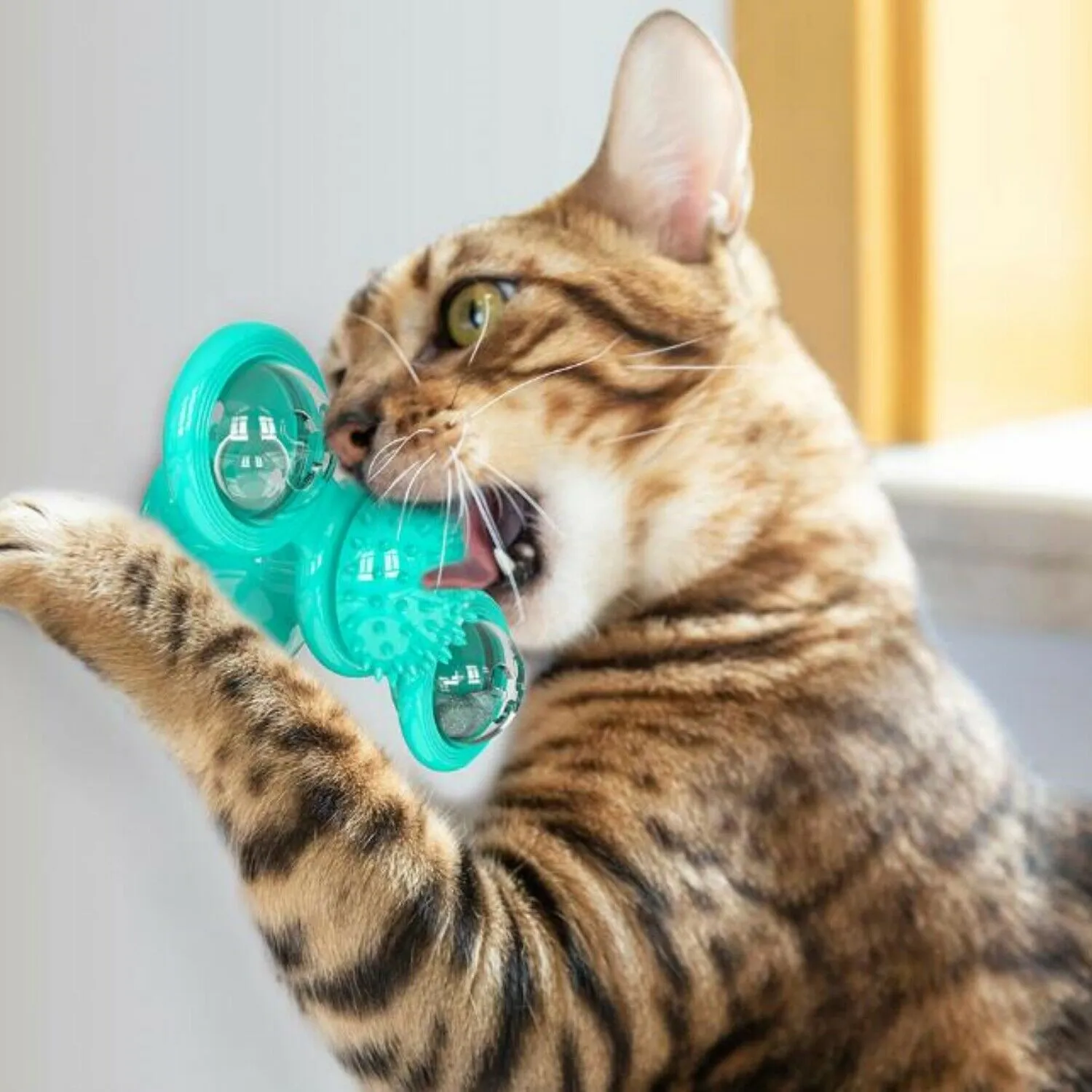 New Windmill Cat Toys Cute Rotating Interactive Cat Toy - Indoor Windmill Cat Toy With Suction Cup Catnip & Jagged Teeth Middle Ball, Smart Kitten Rotating Spinner Exercise Toy, Toothbrush & Massager – image 4