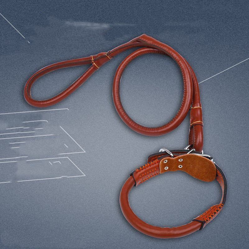 Corde de chien de collier en cuir de Husky de Golden Retriever moyen grand