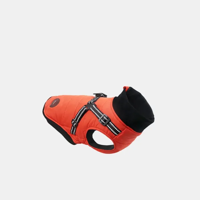 Pet Autumn And Winter New Dog Clothes Cotton padded Clothes Warm Pet Thickened Chest And Back Integrated Orange - Shop at LoveMi