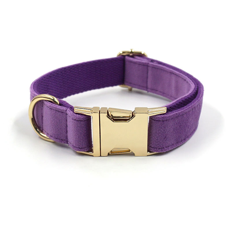 Deep Purple Velvet Gold Buckle Lettering Pet Collar Dog Go Out