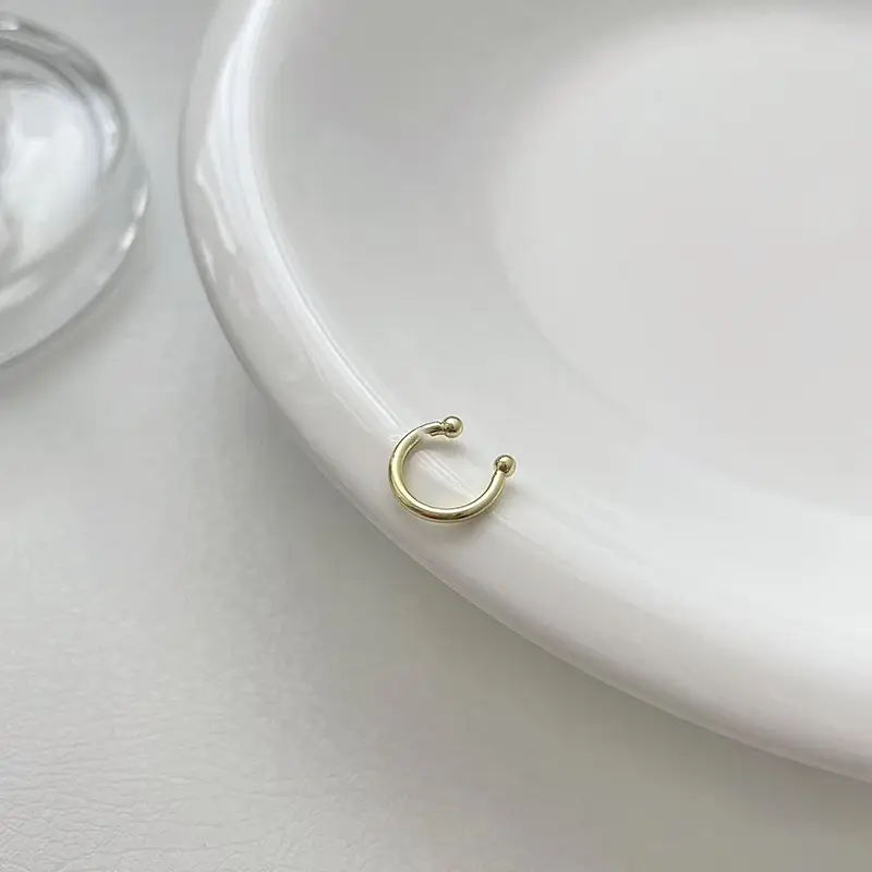 Ladies' Elegant Earrings Without Earholes