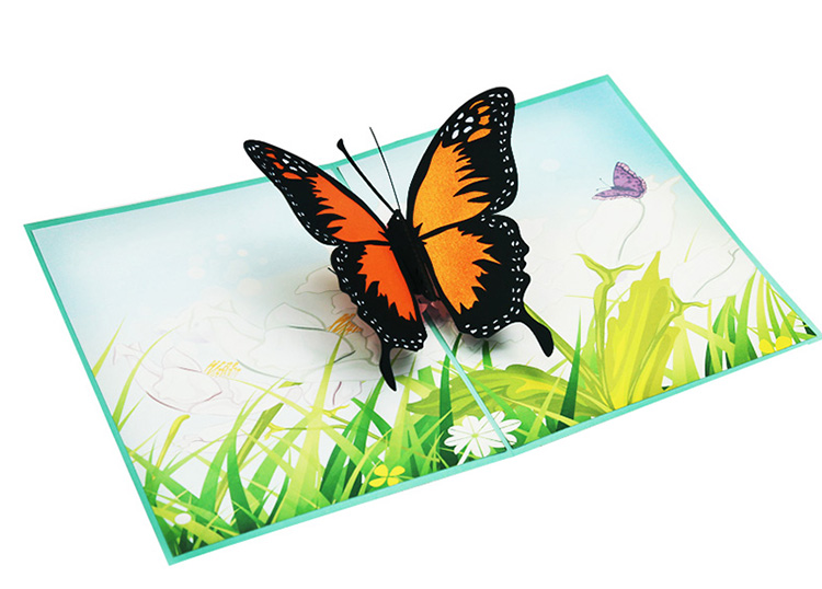 Butterfly greeting card