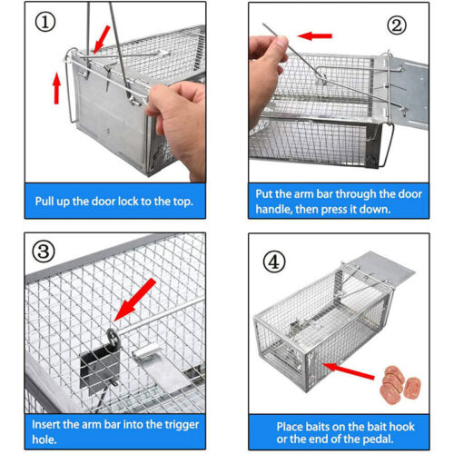 Humane Rat Trap Cage Live Animal Catch Pest Rodent Mice Mouse Bait Control Box 10
