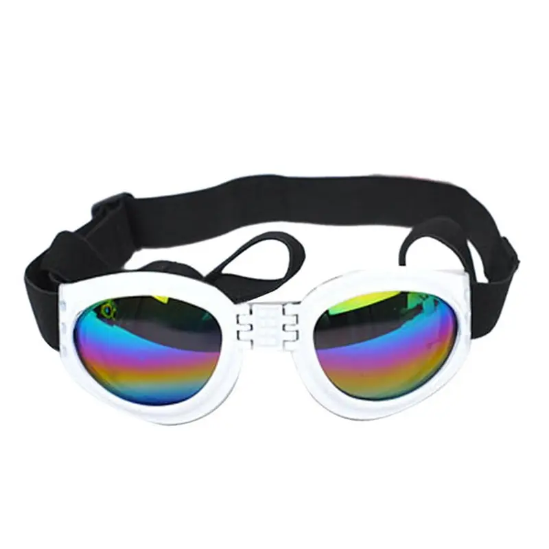 Pet Dog, Cat, Sunglasses, Glasses, Sun Big