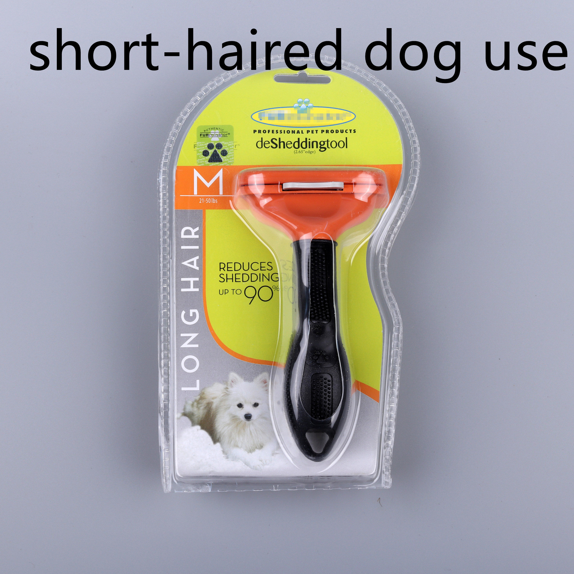 Shorthaired dog use orange