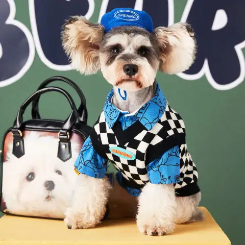 Pure Color Simple Pet Dog with Beret