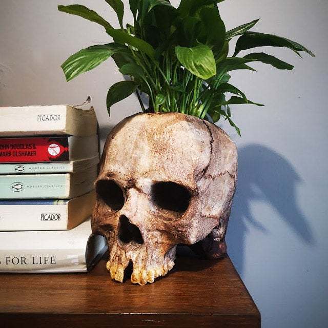Halloween skull resin planter ornament (skull resin pot