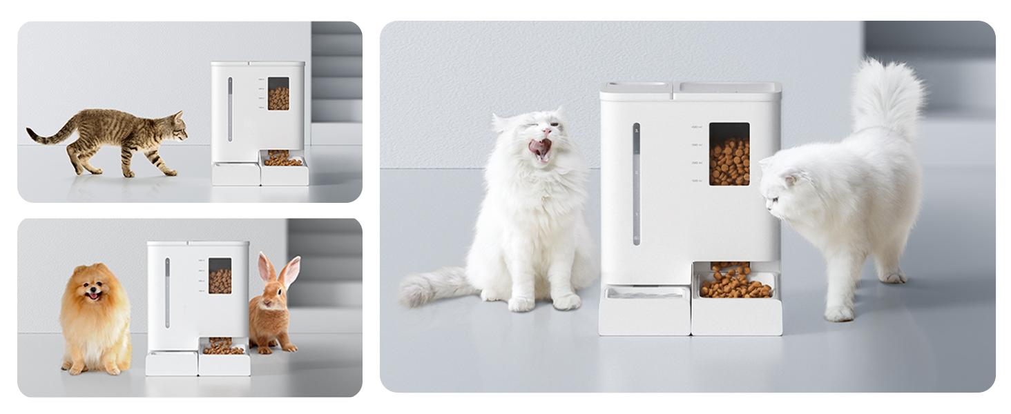 Waithem WiFi Automatic Pet Feeder & Waterer 2-in-1 Set App-Controlled, 2-Week Capacity, Detachable &Washable, Moisture-Proof — foto 16