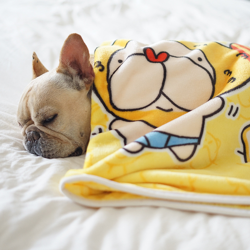 a4e3a77f b1ea 4238 883c 1af0298889f4 - Blanket Sleep Thickened Flannel Cushion Puppy