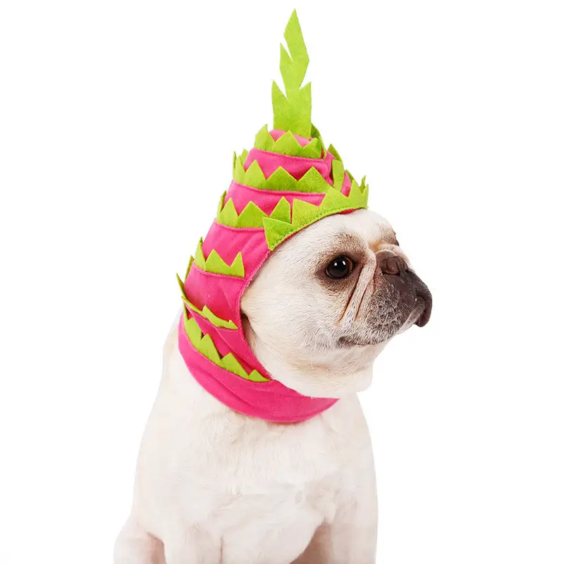 Pitaya Fruit Design Pet Hat Dog Cat