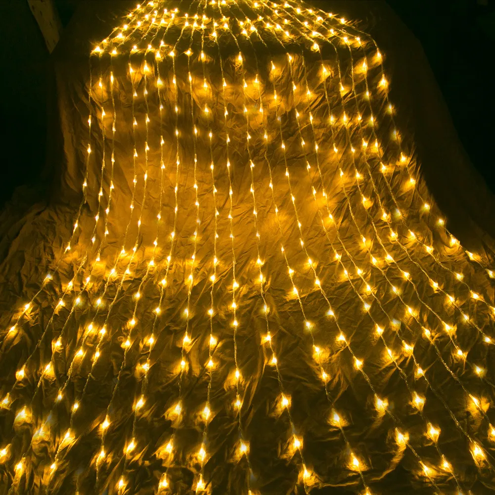 Outdoor Background Layout Of Net Lights And Water String Lights – image 3
