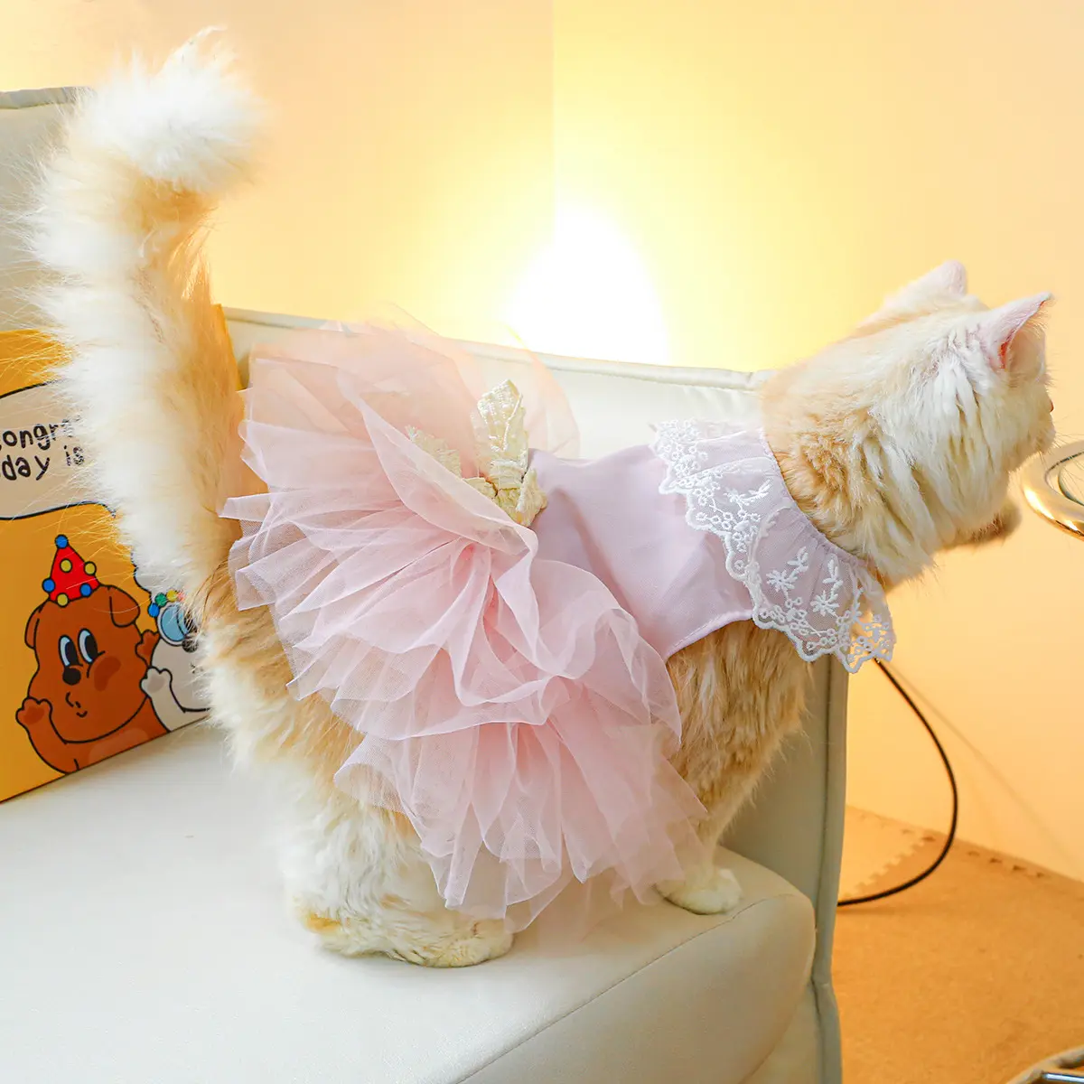 Pet Clothing Cat Clothes Lace