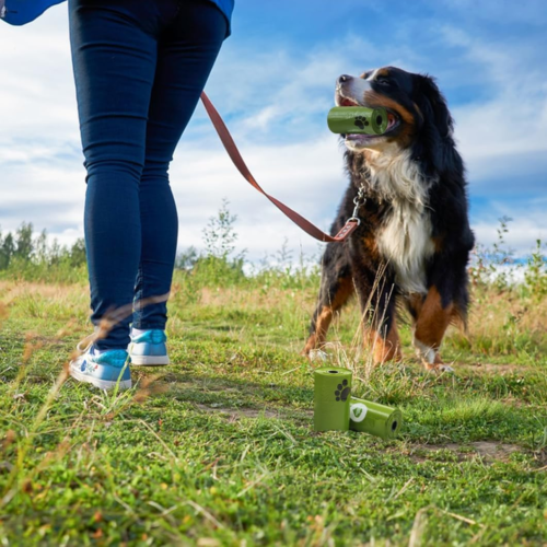 540 Bags Heavy Duty Large Degradable Dog Poo Eco Waste — image 12