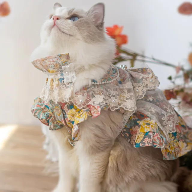 Anti Dropping Small And Medium sized Dog Dress Decor - Shop at LoveMi