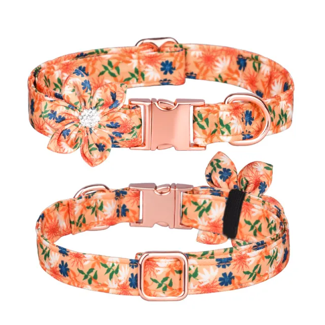Custom Pet Collar And Leash Set Orange - Shop at LoveMi