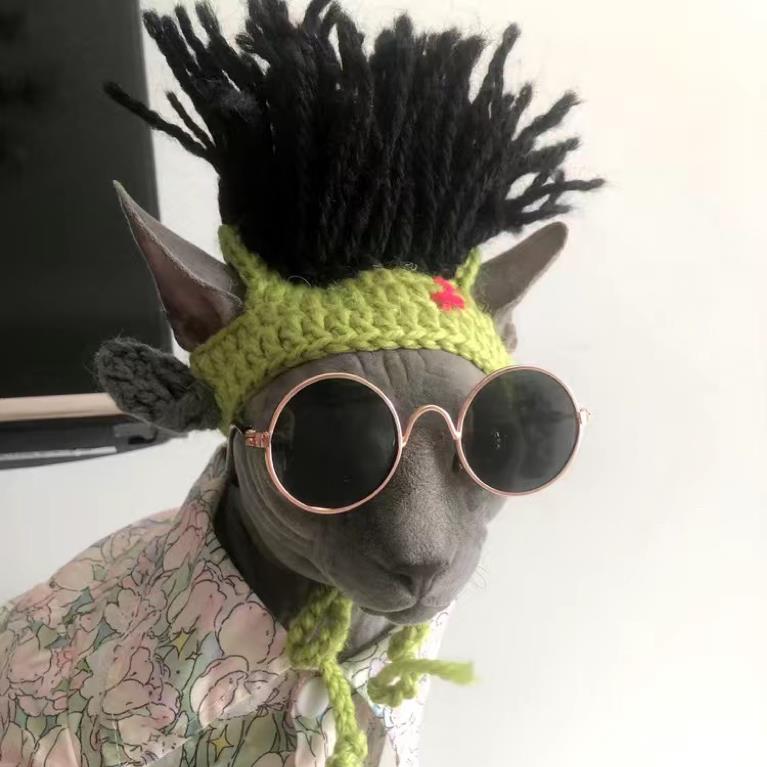Punk Cat Hat Funny Rock Decoration