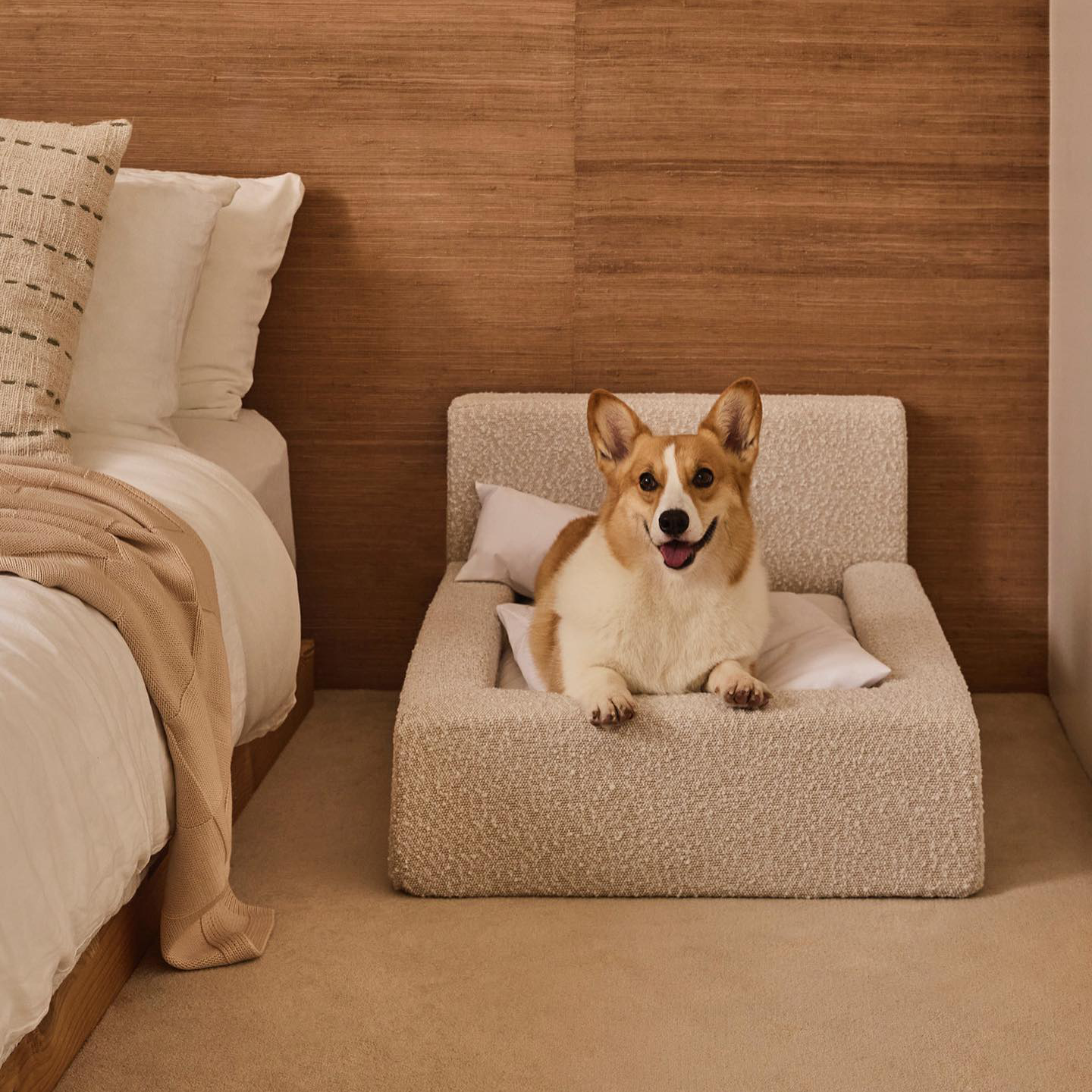 Dog Mat, Movable Rectangular Sponge Cat Bed Backrest, Pet Sofa, Suitable For Small, Medium And Large Cats And Dogs, Mat Bed, Dog Pet Accessories, Bedding thumbnail 3