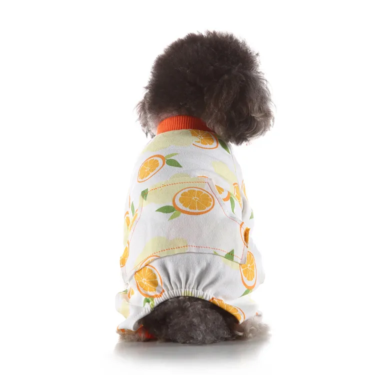 Pet Clothes Autumn And Winter At Home - Orange