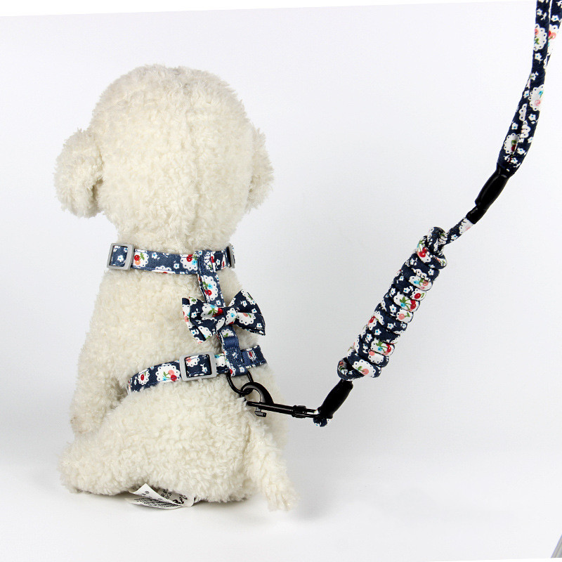 Creative Floral And Japanese Style Cat Leash Blue - Shop at LoveMi