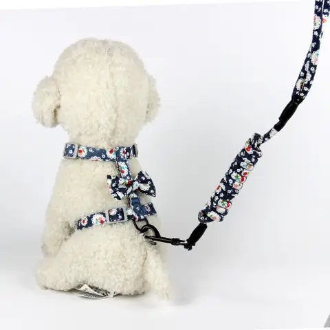Creative Floral and Japanese Style Cat Leash