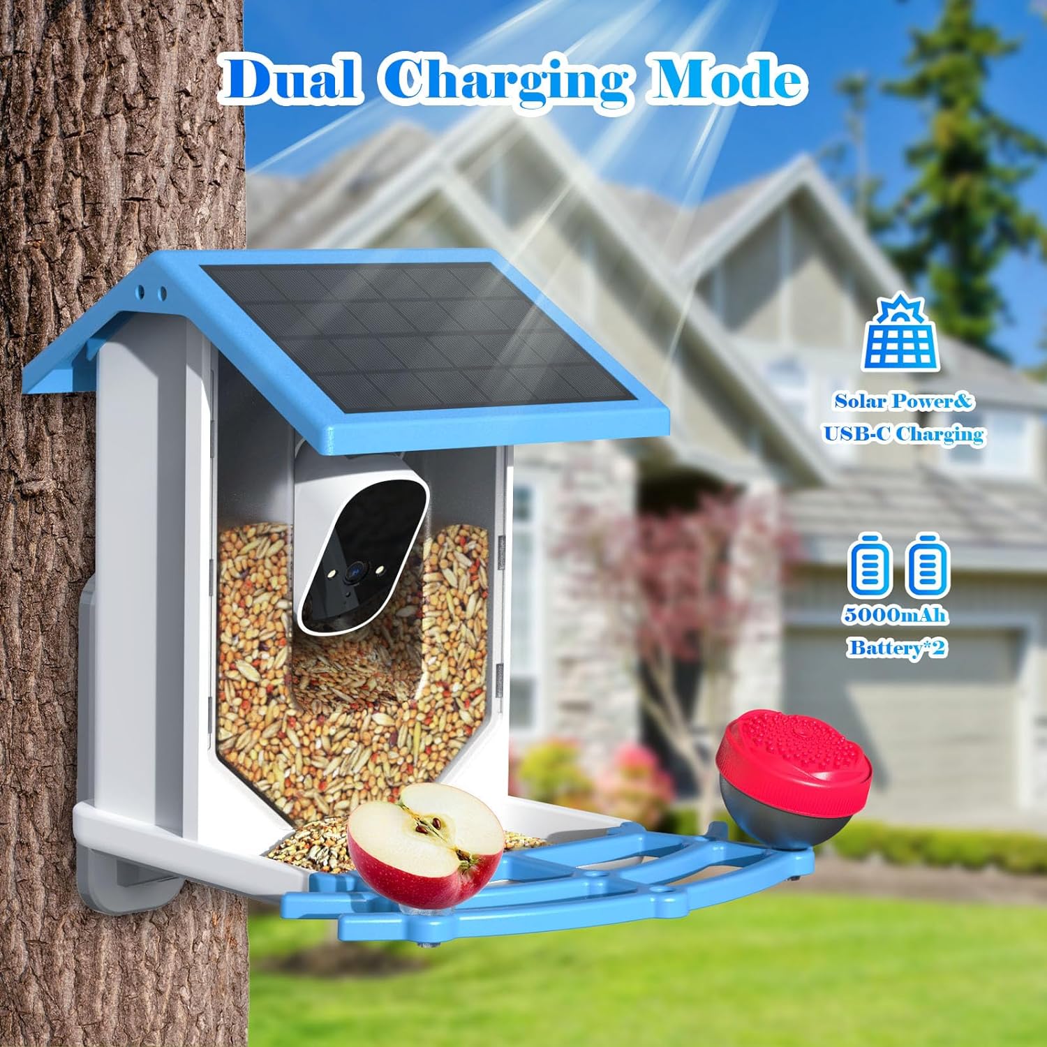 Smart Bird Feeder With Camera Solar Powered WiFi 4MP Live Camera AI Identify Bird Species Auto Capture Garden Bird Watching Motion Detection Ideal Gift For Bird Lovers Blue