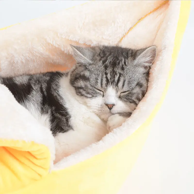 Removable And Washable Round Long Hair Cat's