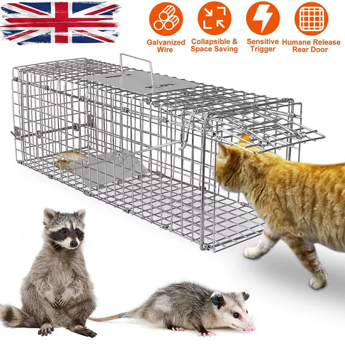Live Animal Cage Trap Heavy Duty Folding Raccoon Traps Cat Trap Catch Release UK W13233718 - Shop at LoveMi
