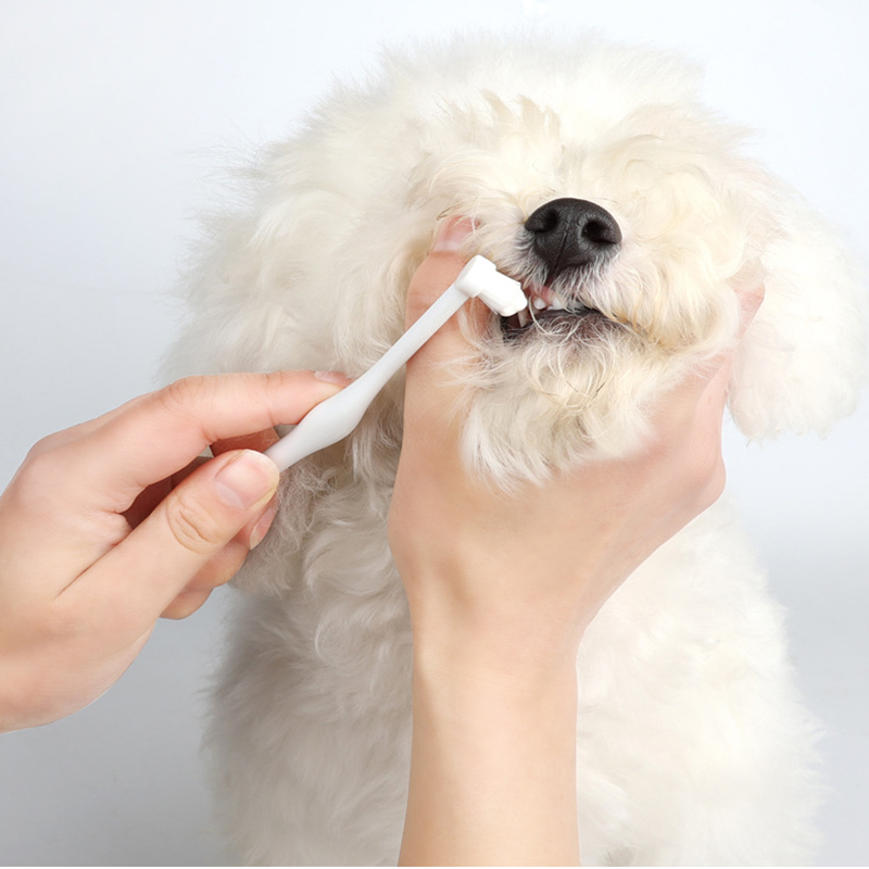 Pet Oral Hygiene Kit with Brushes, Toothpaste, and Flavors including a dual-sided toothbrush, long handle design, soft bristles, fingerbrush, and poultry-flavored toothpaste.