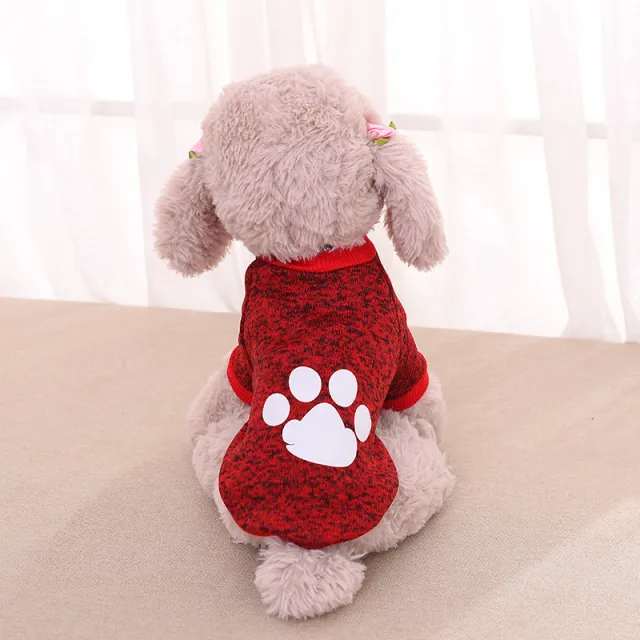 Clothing Pet Clothing Two legged Sweater Teddy Big Red - Shop at LoveMi