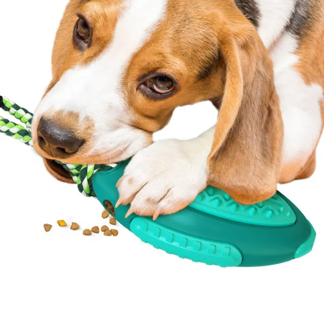 Voice Leaky Molars Rugby Dog Toy Lake Blue - Shop at LoveMi
