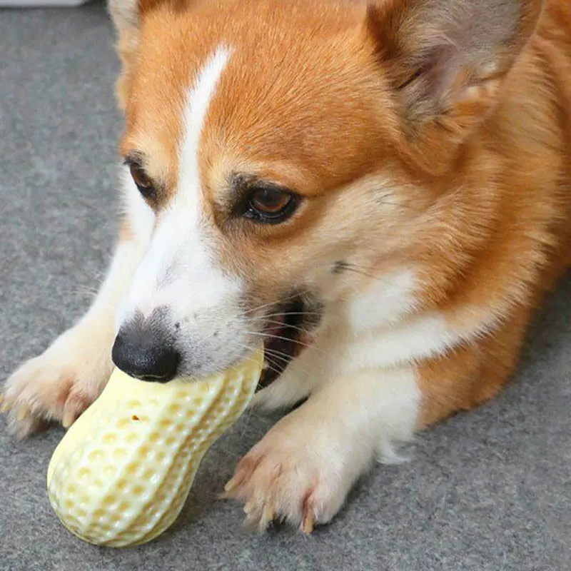 Funny Pet Dog Squeaky Toys For Small Middle Dogs Bite Resistant Puppy Cat Dogs Toys Pets Rubber Peanut Clean Tooth Chew Toy – image 4