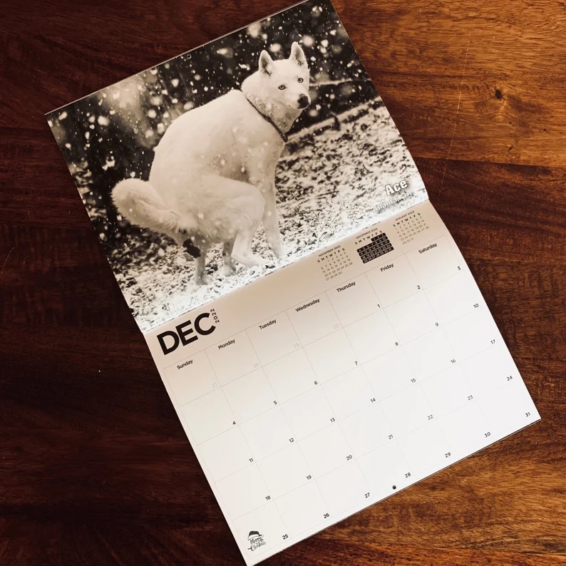 Dog Poop Calendar Animal Parody Desk Calendar (As shown)
