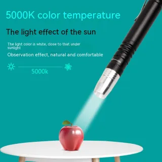 White Purple Light Double-headed Flashlight Pen Lamp Medical Pen Lamp Aluminum Alloy