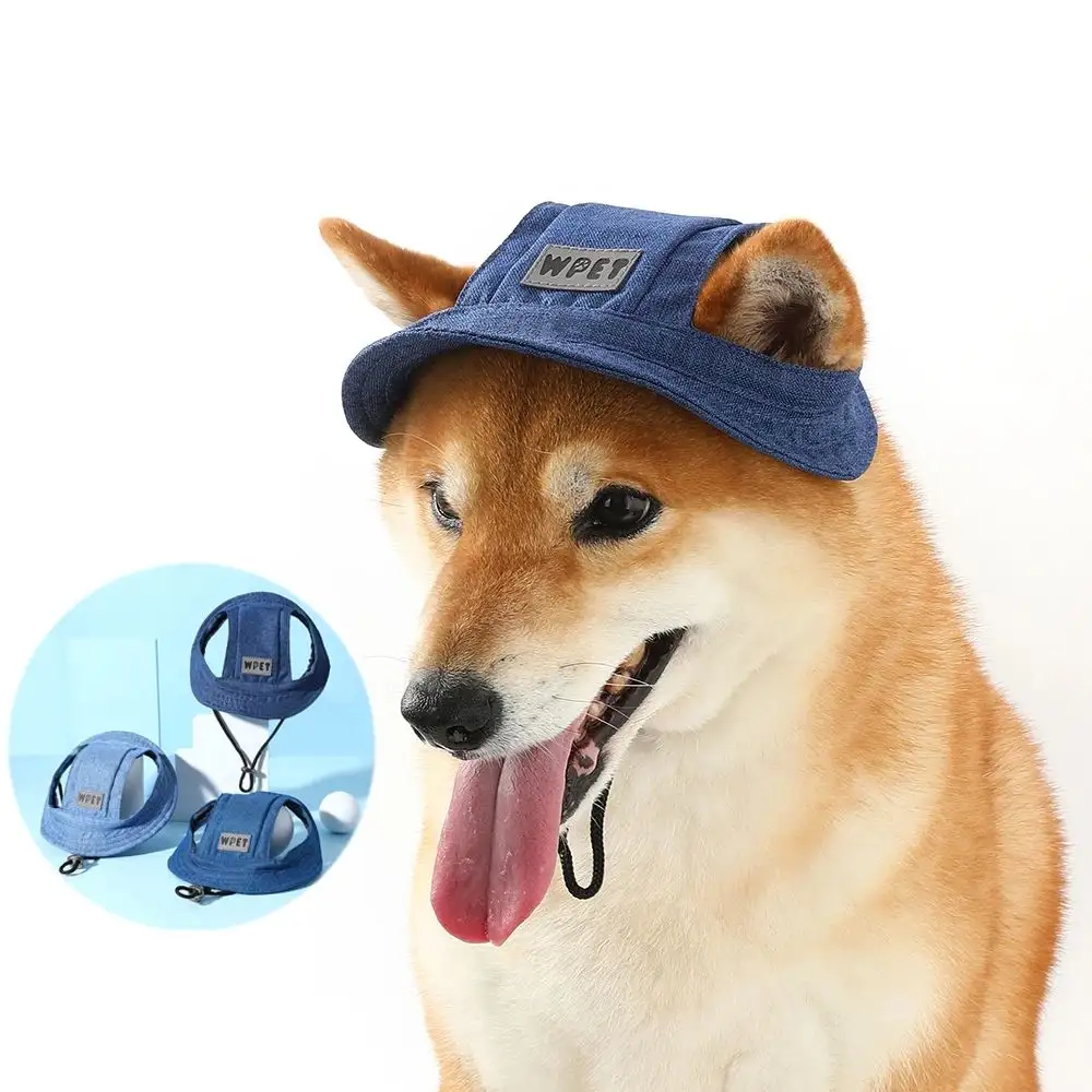 Pet Hat With Ear Holes