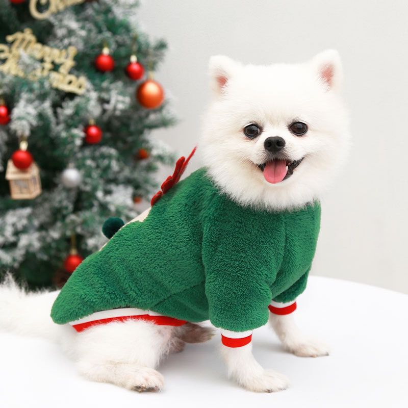 Title 4, Pet Plus Velvet Christmas Print Sweater, provid...