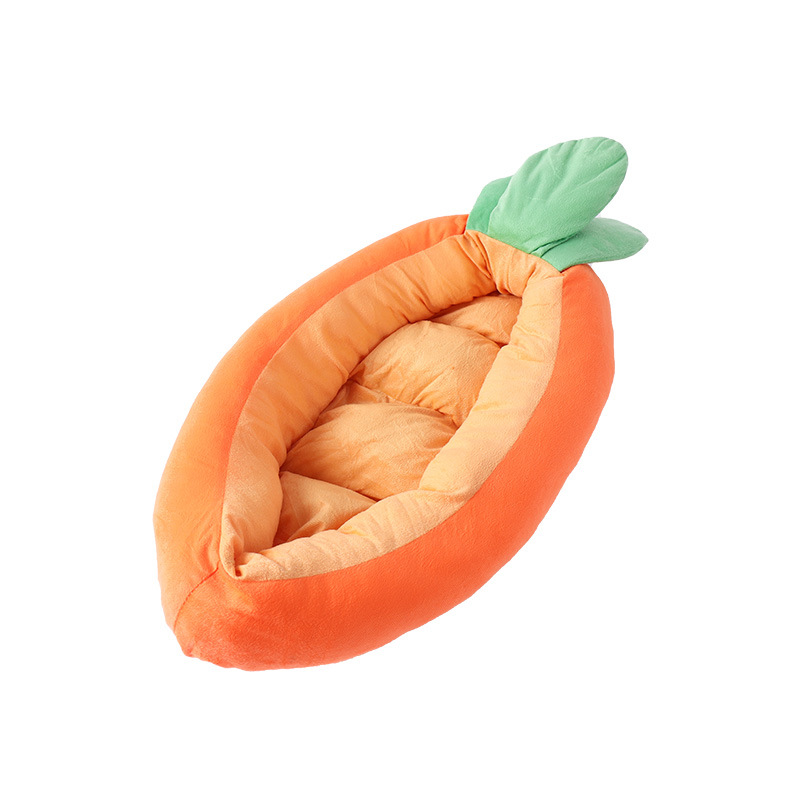 Carrot