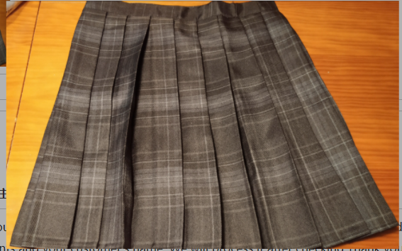 Plaid pleated skirt