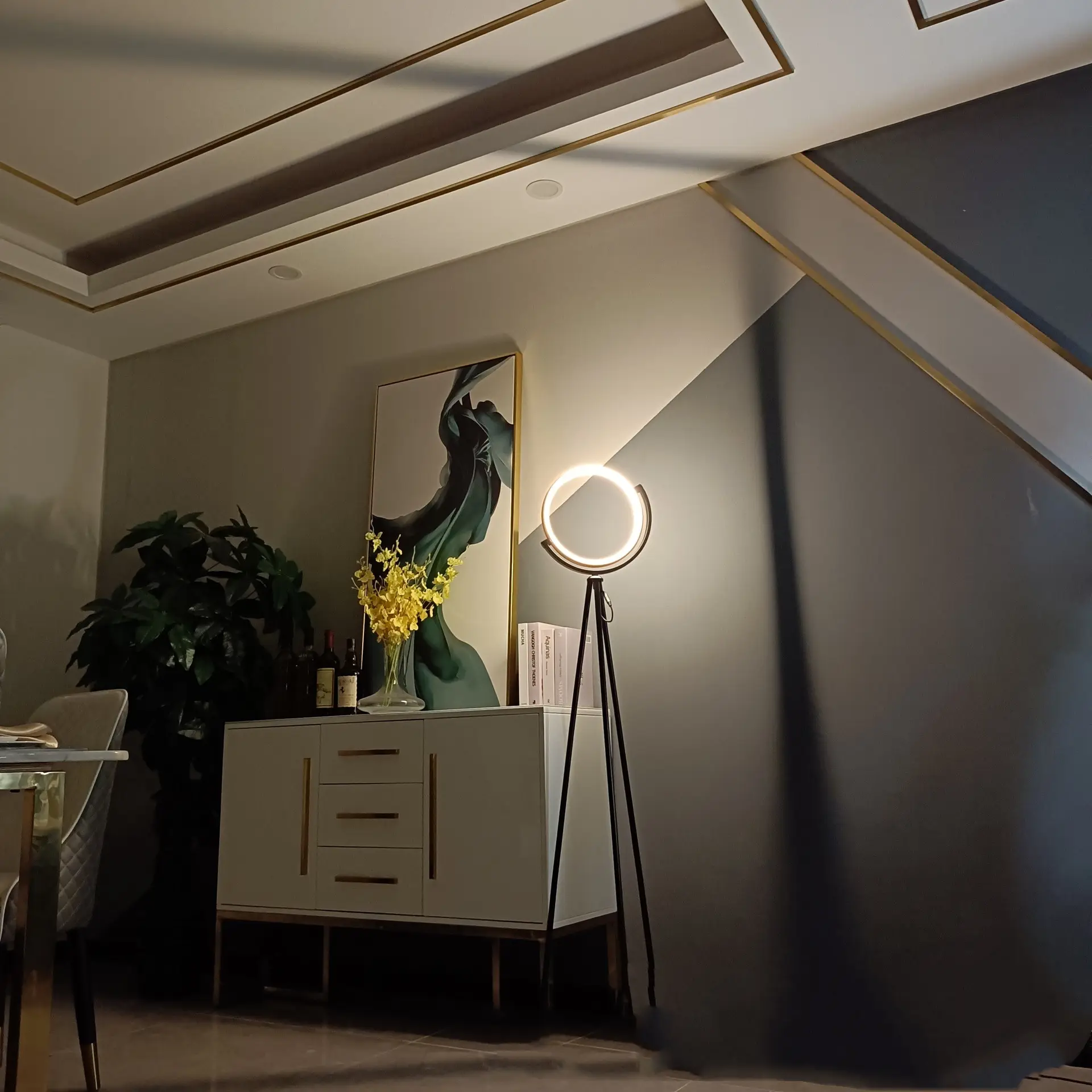 LED Light Supplementary Aluminum Floor Lamp Study